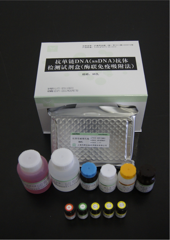 【科新】抗单链DNA（ssDNA）抗体检测试剂盒（酶联免疫法）