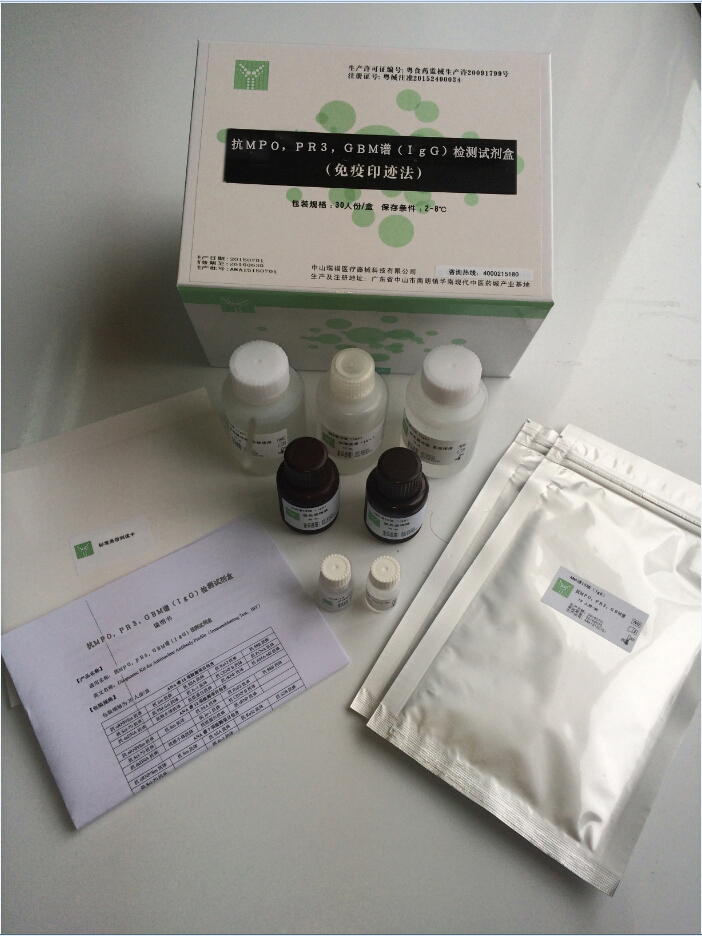 【中山瑞福】抗MPO,PR3,GBM谱（IgG）检测试剂盒（免疫印迹法）