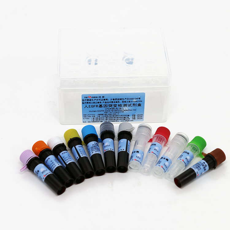 【透景】人EGFR基因突变检测试剂盒（PCR荧光法）＋宏石／博日实时荧光PCR仪