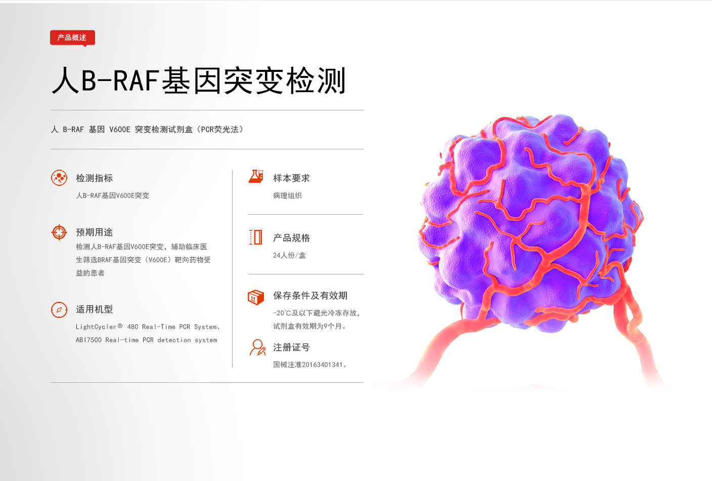 【透景】人K-ras基因7种突变检测试剂盒（PCR荧光法）＋宏石／博日实时荧光PCR仪-云医购