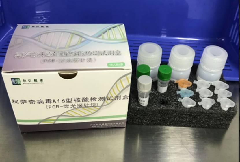【和信】柯萨奇病毒A16型核酸检测试剂盒（PCR-荧光探针法）