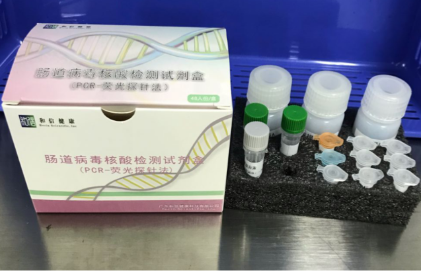 【和信】肠道病毒核酸检测试剂盒（PCR-荧光探针法）