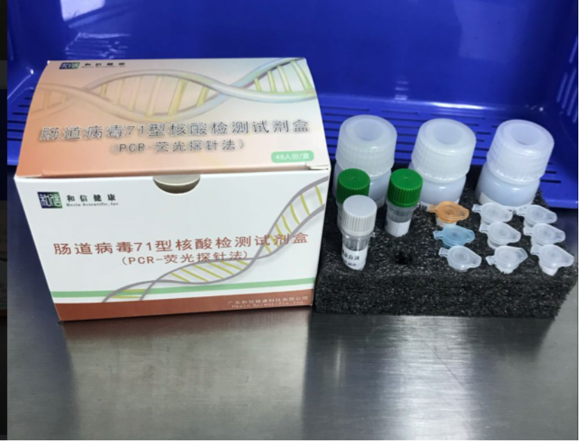 【和信】肠道病毒71型核酸检测试剂盒（PCR-荧光探针法）-云医购