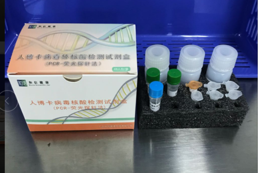 【和信】人博卡病毒核酸检测试剂盒（PCR-荧光探针法）-云医购
