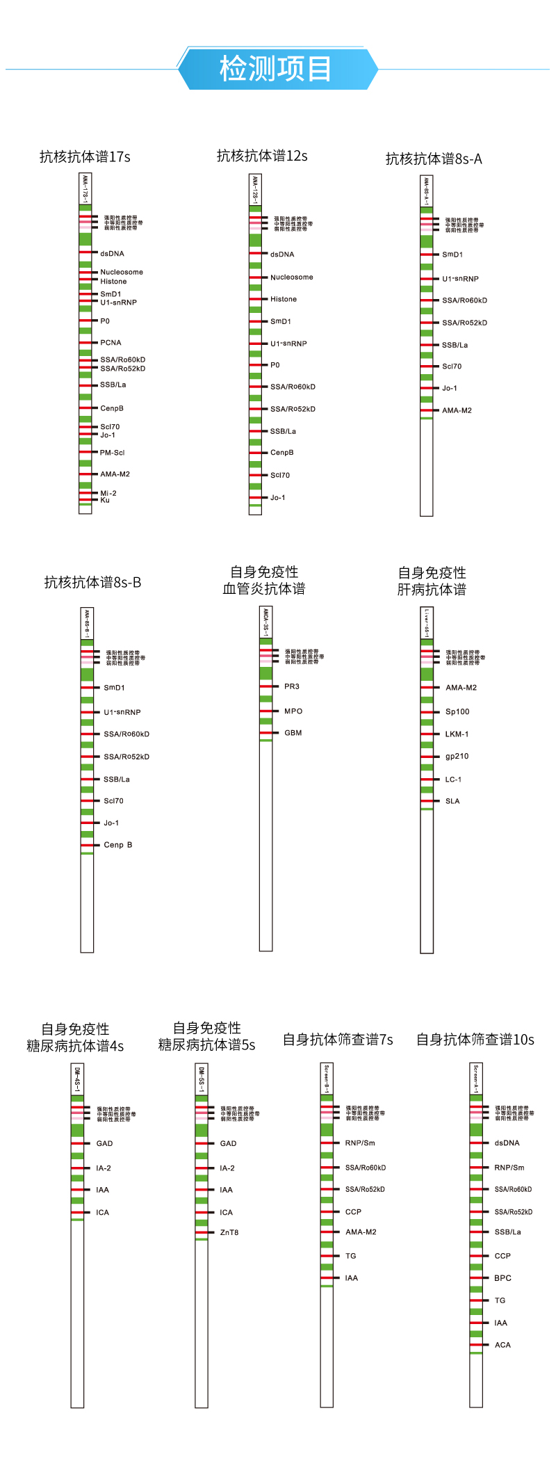 检测项目