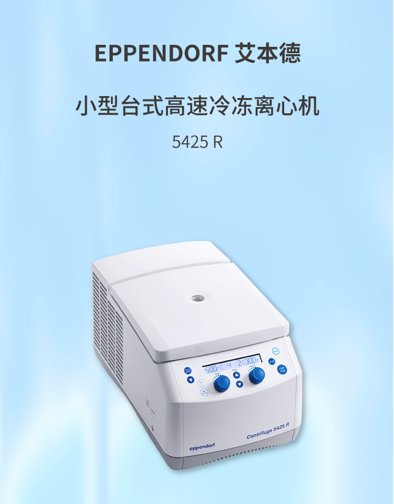 海报