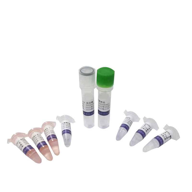 【旌准】MTHFR基因检测试剂盒（荧光PCR-毛细管电泳测序法）-云医购