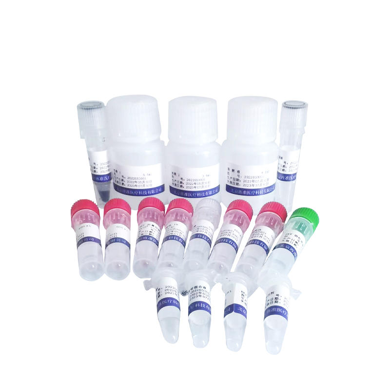 【旌准】JC病毒核酸测定试剂盒（PCR-荧光探针法）