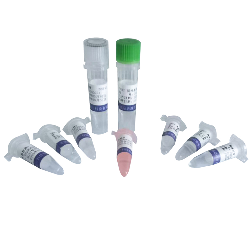 【旌准】TERT基因突变检测试剂盒（荧光PCR-毛细管电泳测序法）