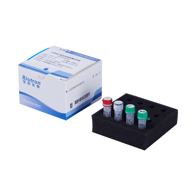 【宝创】人类BRAF基因突变检测试剂盒（荧光PCR法）-云医购