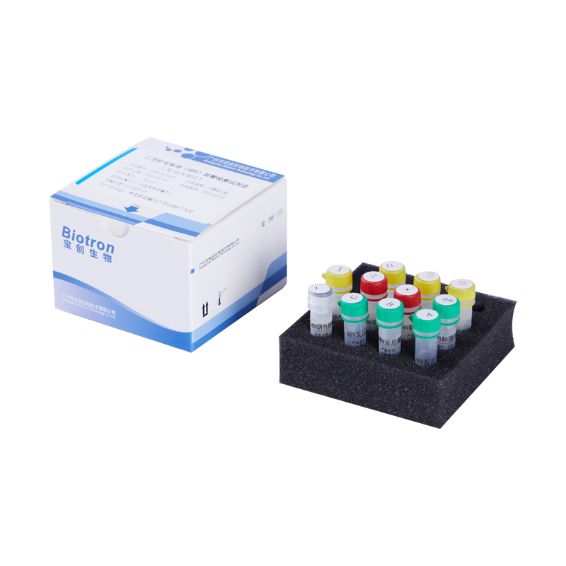 【宝创】乙型肝炎病毒（HBV）核酸检测试剂盒（荧光PCR法）