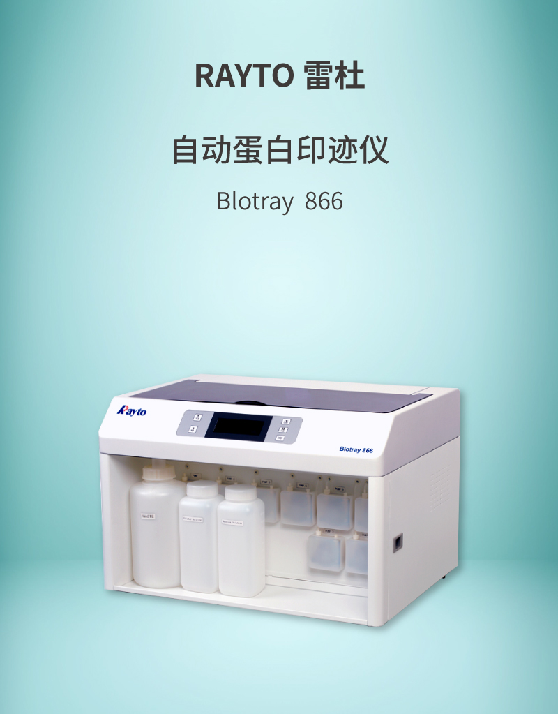 【雷杜】自动蛋白印迹仪blotray 866 云医购